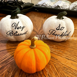Fall / Autumn