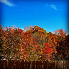 D0E77B5D-71F7-4CAA-B398-E5236821A224