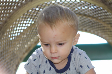 IMG 0549