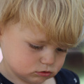 IMG 0805