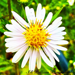 A2980D01-3165-47B9-ABF0-76740EB80553