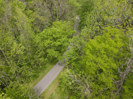 DJI 0232