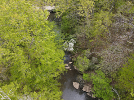 DJI 0244